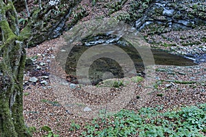 Autumn walk through the labyrinth of the Teteven Balkan with high peaks and river