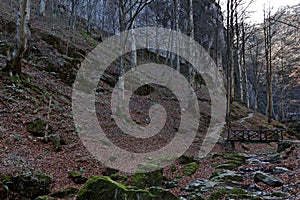 Autumn walk through the labyrinth of the Teteven Balkan with high peaks, river, bridge and waterfall