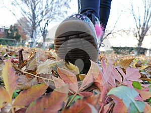 Autumn walk in the park. View from below. Close up of shoes and colorful fallen leaves