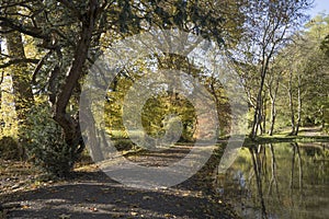 Autumn walk in Surrey