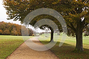 Autumn walk way, England