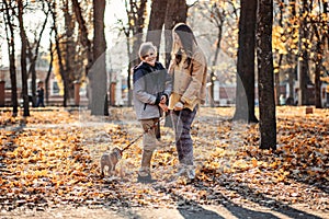 Autumn walks with the family. Happy family mother and teen boy son having fun with cocker spaniel puppy in autumn park