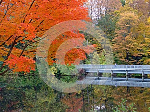 Autumn Walkway