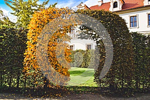 Autumn at Wallenstein Garden, Prague,