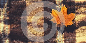 Autumn warm background with yellow maple leaf on the plaid, top view