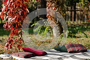 Autumn warm days. Indian summer. Picnic in the garden - blanket