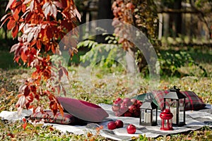 Autumn warm days. Indian summer. Picnic in the garden - blanket and pillows of gray, burgundy and green color on the background of