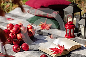 Autumn warm days. Indian summer. Picnic in the garden - blanket and pillows of gray, burgundy and green color on the background of