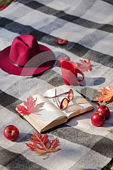 Autumn warm days. Indian summer. Picnic in the garden - blanket and pillows of gray, burgundy and green color on the background of