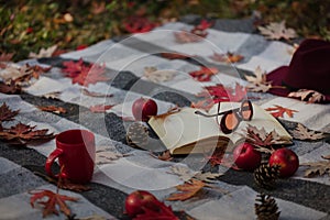 Autumn warm days. Indian summer. Picnic in the garden - blanket and pillows of gray, burgundy and green color on the background of