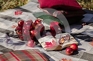 Autumn warm days. Indian summer. Picnic in the garden - blanket and pillows of gray, burgundy and green color on the background of