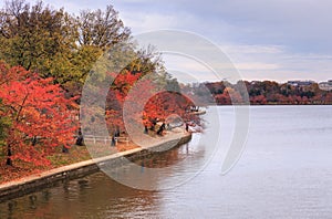 Autumn Washington DC Tidal Basin