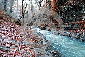 Autumn water scape in autumn forest