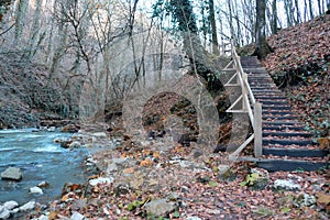 Autumn water scape in autumn forest