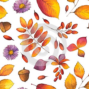 Autumn Watercolor botanical Seamless Pattern with fall leaves, acorns, aster flowers, branches of berberries