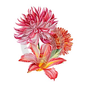 Autumn Watercolor flowers, botanical illustrations, autumn dahlias, chrysanthemum, lily