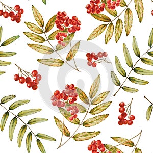 Autumn watercolor isolated seamless pattern with rowan on white background. Pumpkins, maple leaf, acorns, oak leaf