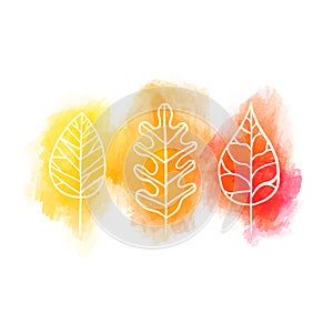 Autumn Watercolor Leaf Isolated