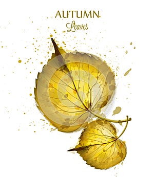 Autumn watercolor leaves Vector isolated on white background. Fall banner template. Golden colors