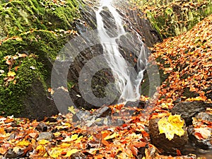 Autumn waterfall in basalt rock. Shinning streams and many colorful leaves on banks