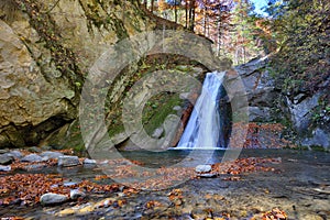 Autumn waterfall and creek woods with yellow trees foliage and r