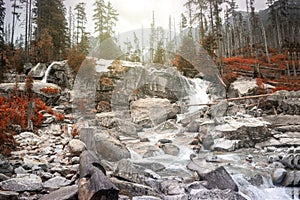 Autumn waterfall in the Tatra mountains, Slovakia