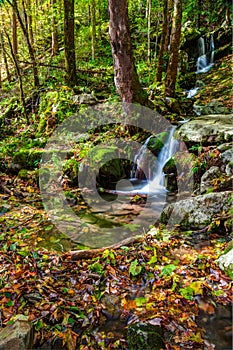 Autumn Waterfall in Tremont in the Great Smoky Mountains