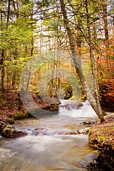 Autumn Waterfall Vertical