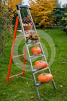 Jeseň rebrík z z úroda 