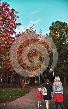 In autumn weather, mother and daughters go for a walk in the park. Yellow orange leaves on trees and green grass, family, children