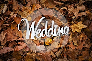 Autumn wedding wooden sign on the leafage