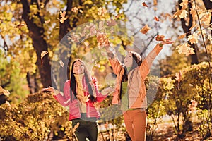 Autumn weekend fun time concept. Positive girls buddies enjoy throw catch air fly maple leaves wear red yellow outerwear