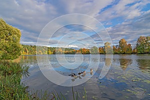 Sunny autumn day. White clouds in the blue sky over the river and trees in the park