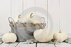 Autumn white pumpkins and decor on white wood