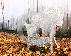 Autumn Wicker Chair