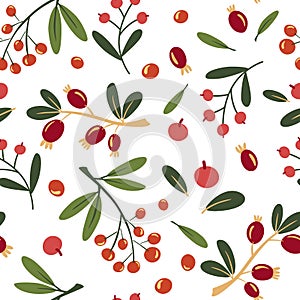 Autumn wild berries seamless pattern. Background with rowan and rosehip berries. Design for poster, kitchen textiles, clothing and