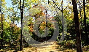 Autumn wind of the red mountain