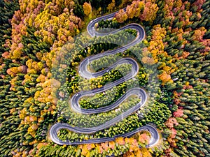 Autumn Winding Road in the Forest