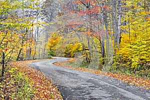 Autumn Winding Roadway