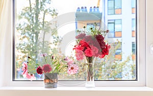 Autumn window. Autumn bouquets of flowers, cosmea, asters, geranium in fall winter 2019 2020 colors on windowsill