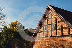 Autumn window in old brick wall covered with leaves in red color. Autumnal fall house atmosphere in sun day.