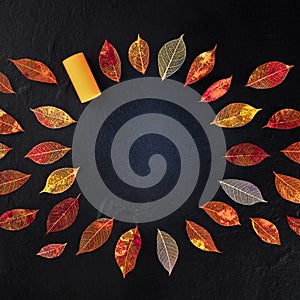 Autumn wine background with vibrant fall leaves on black, a square design template