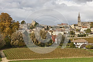 Autumn wineyards in St. Emilion. Agriculture industry in Aquitaine. France