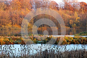 Autumn and winter clad landscape