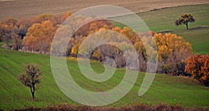 Autumn and winter fields,