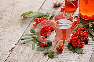 Autumn or winter hot tea with berries, warming drink in glass cup, seasonal calmness, cozy tea party concept