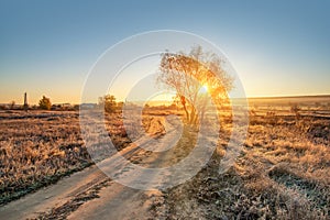Autumn winter landscape. Scenic countryside landscape with rural dirt road at sunset. Winter mood