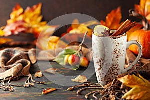 Autumn or winter spice tea in mug with seasonal fruits, berries, pumpkin and leaves on wooden table