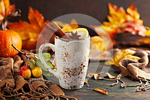 Autumn or winter spice tea in mug with seasonal fruits, berries, pumpkin and leaves on wooden table