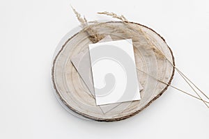 Autumn, winter stationery still life. Blank greeting card, invitation mockup on cut wooden round board. Craft envelope